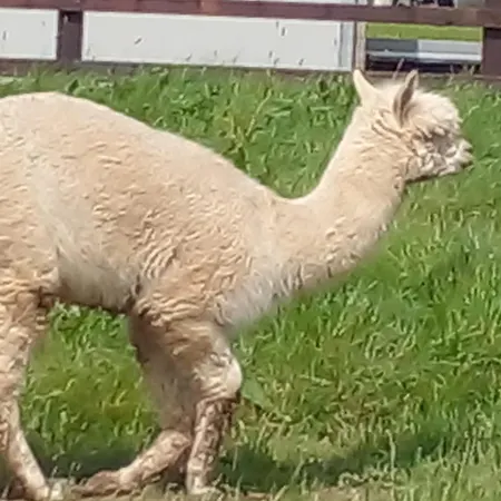 Tara View شقة Garristown