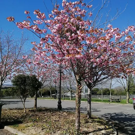 Apartamento Tara View *