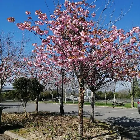 Apartment Tara View Garristown