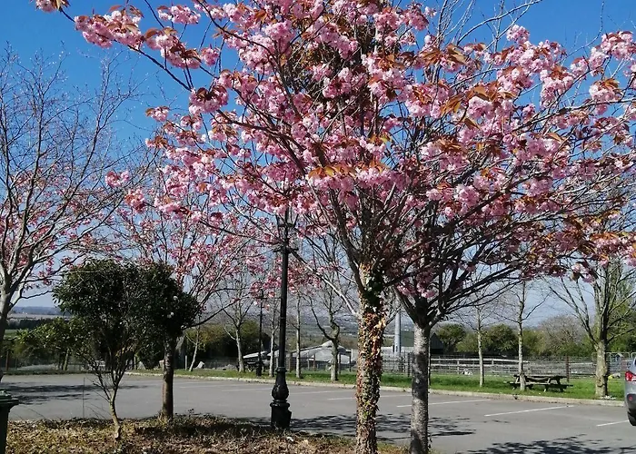 아파트 Tara View *