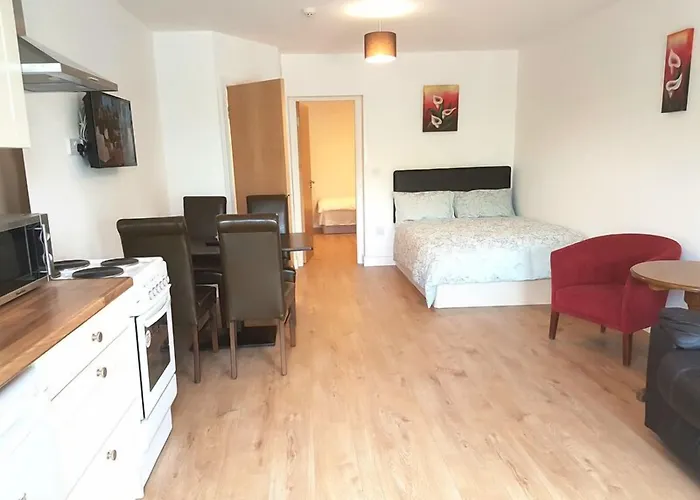 Tara View Apartament *